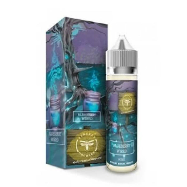 Blueberry Wired Electric Lemonade by Firefly Orchard eJuice