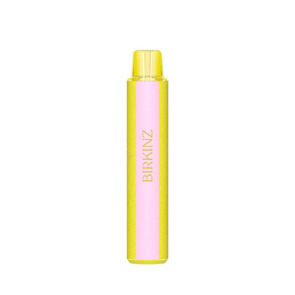 Birkinz Disposable Vape - 3000 Puffs