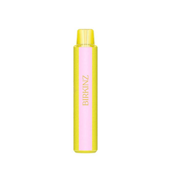 Birkinz Disposable Vape - 3000 Puffs