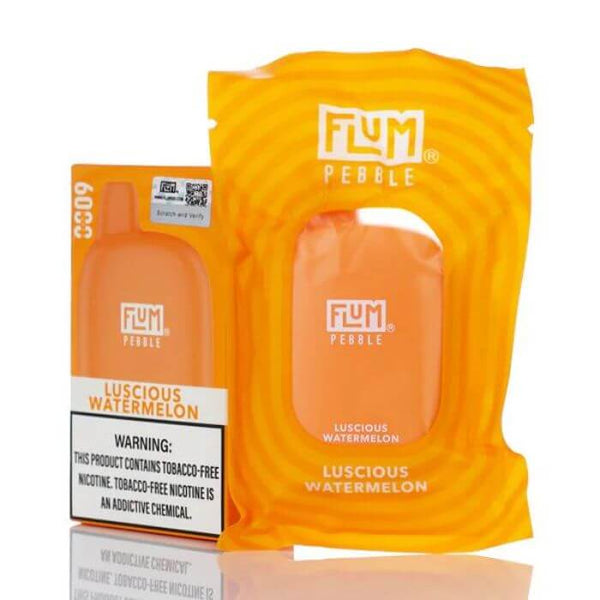 Flum Pebble Disposable Vape - 6000 Puffs